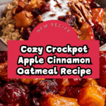 Crockpot Apple Cinnamon Oatmeal Recipe