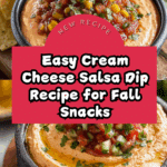 Cream Cheese Salsa Dip Recipe