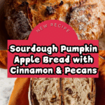 Sourdough Pumpkin Apple Bread with Cinnamon and Pecans Recipe
