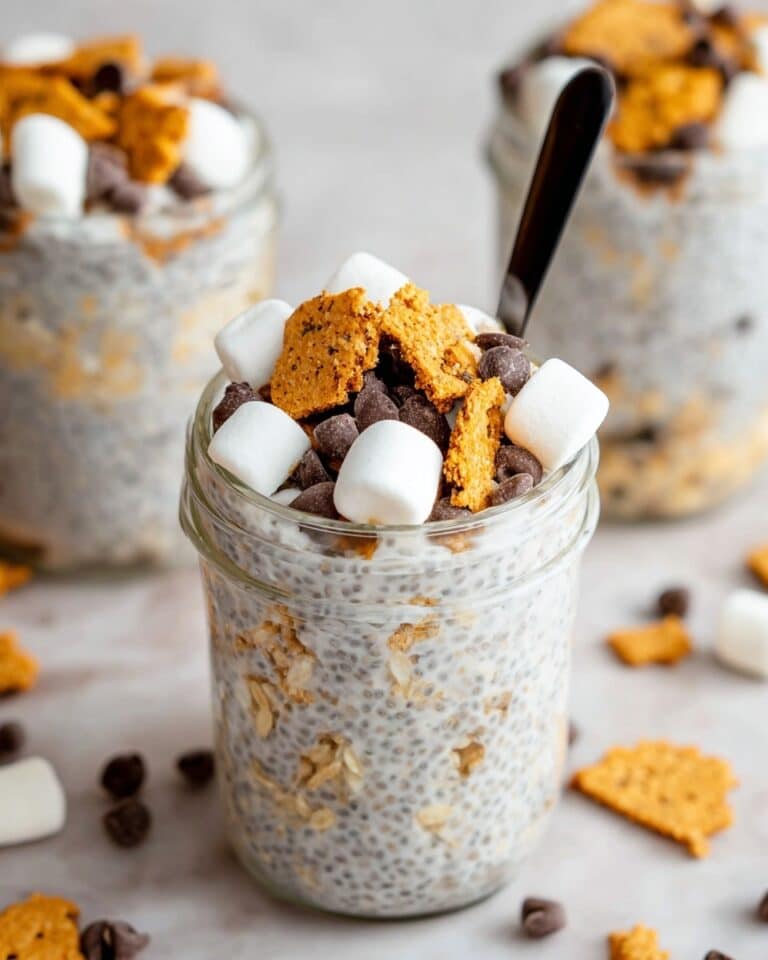 S’mores Overnight Oats Recipe