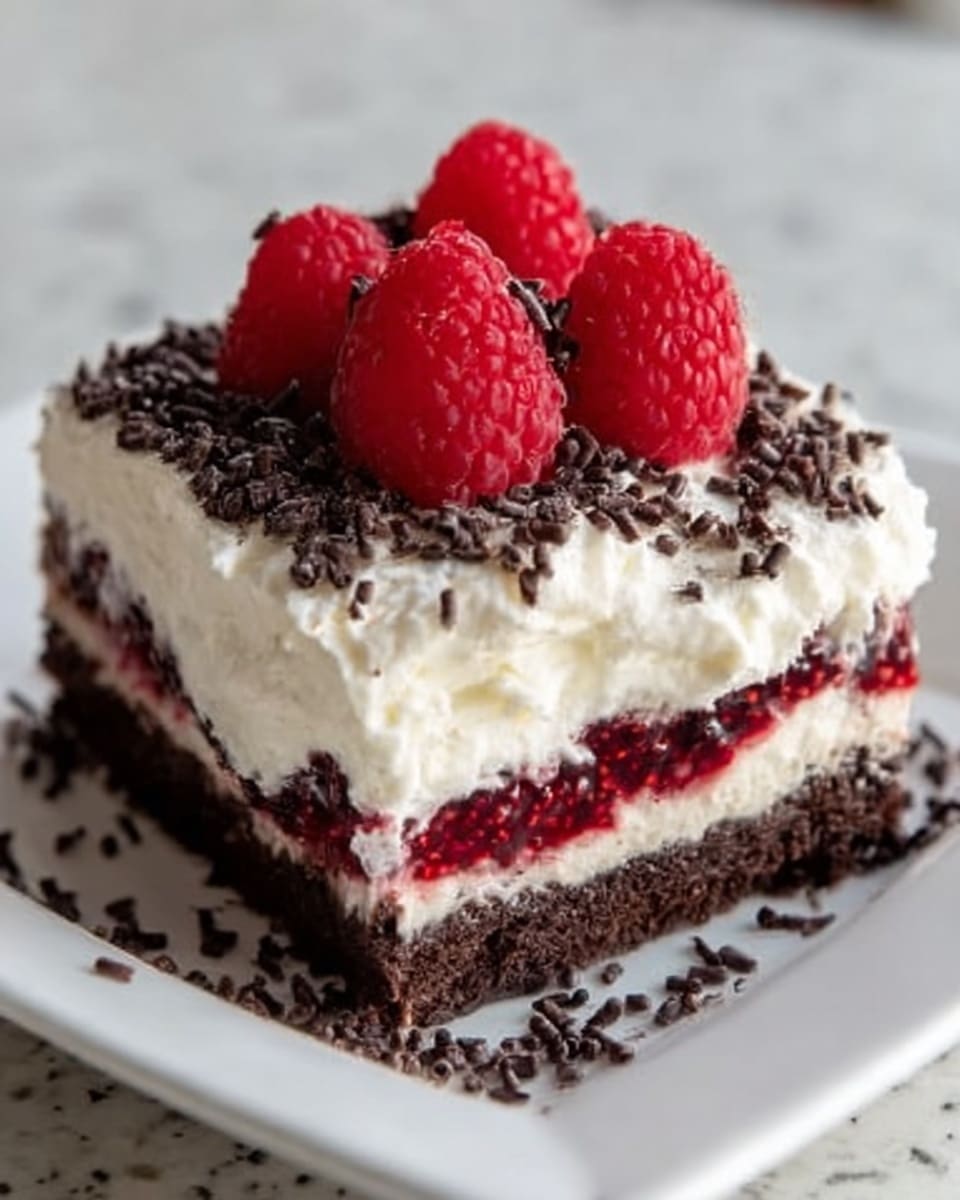 Raspberry Chocolate Lasagna Recipe