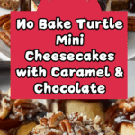 No Bake Turtle Mini Cheesecake Recipe