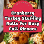 Cranberry & Turkey Stuffing Balls Recipe