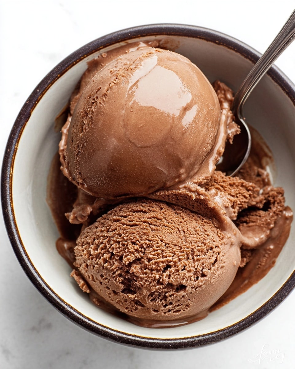 Chocolate Protein Ice Cream Recipe - Recipe Image