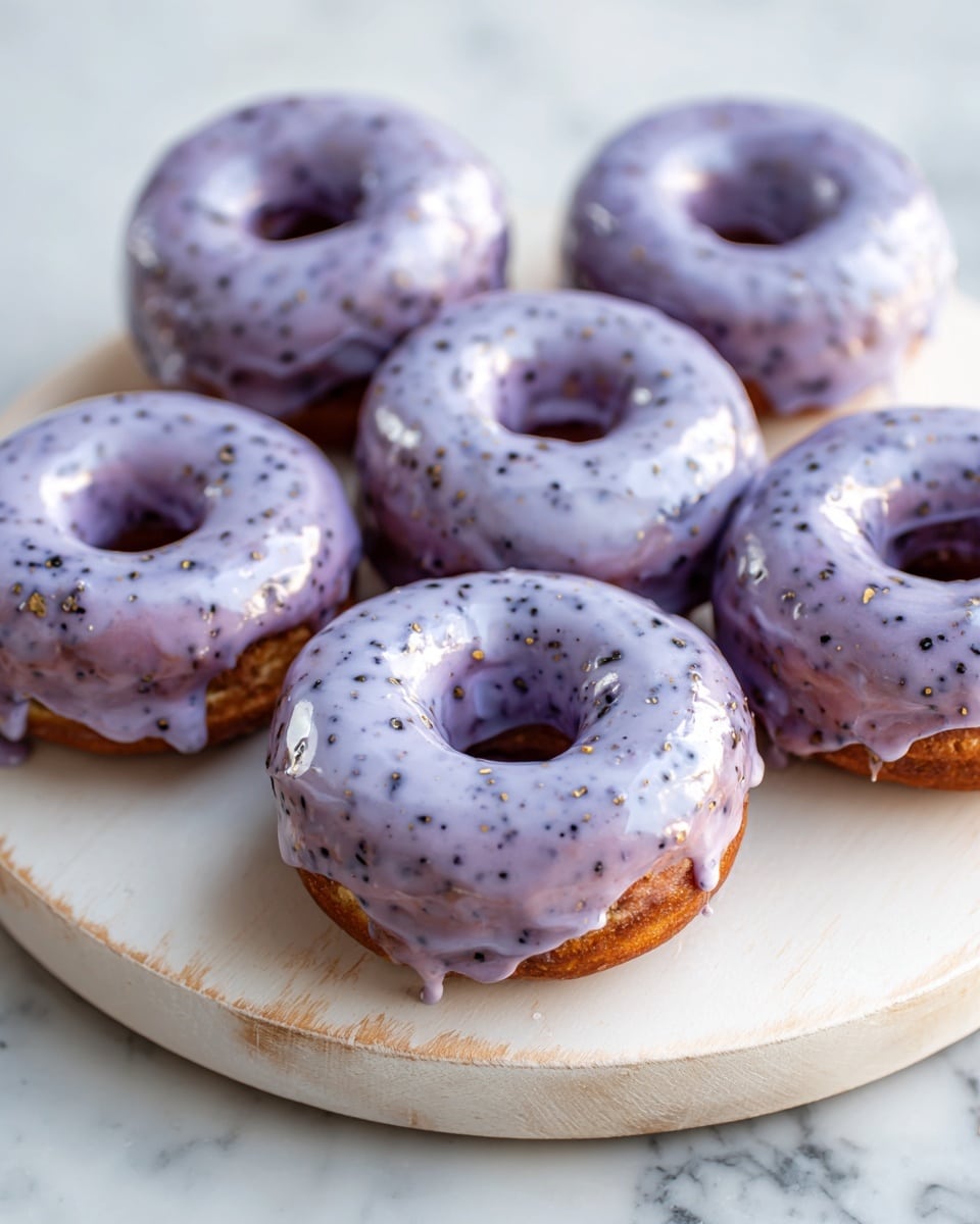 Wild Blueberry Cake Donuts Recipe